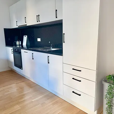 Modern With Garden Near Vienna *