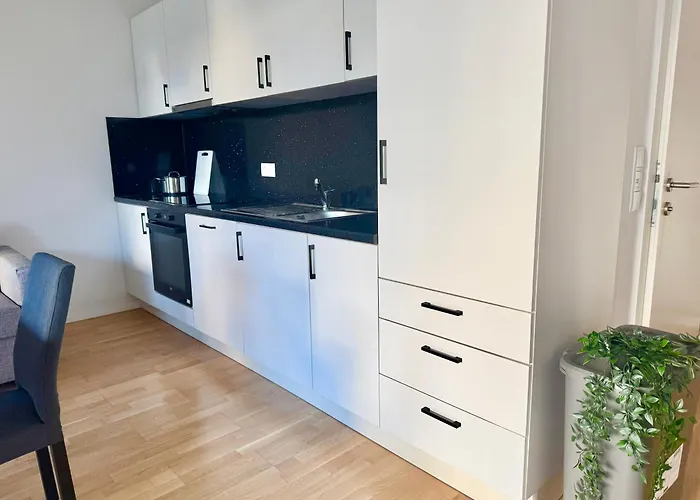 Modern With Garden Near Vienna *